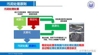 城市污水厂污泥处置工艺技术路线研究与软件技术开发 — 以同济戴晓虎团队成果为例